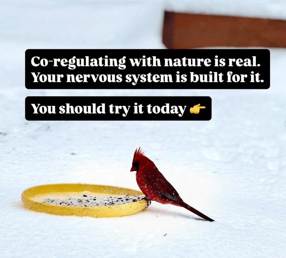 Co-Regulating with Nature is Real!