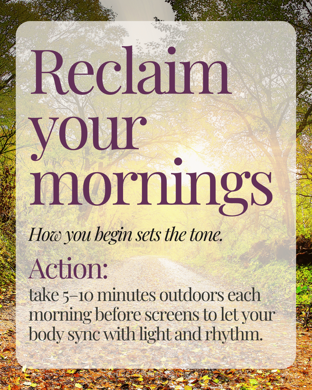 Sunlit autumn trees graphic with text: Reclaim your mornings. Reminder to spend 5–10 minutes outdoors before screens to sync with seasonal rhythms. Forest bathing and nervous system support practice.