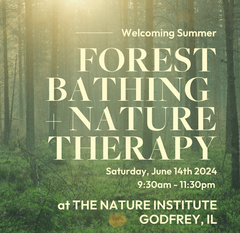 Forest Bathing at The Nature Institute - June 14