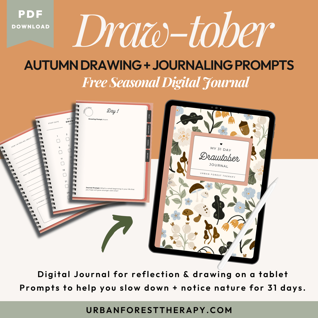 Draw-Tober Drawing + Journaling Prompts Digital Journal
