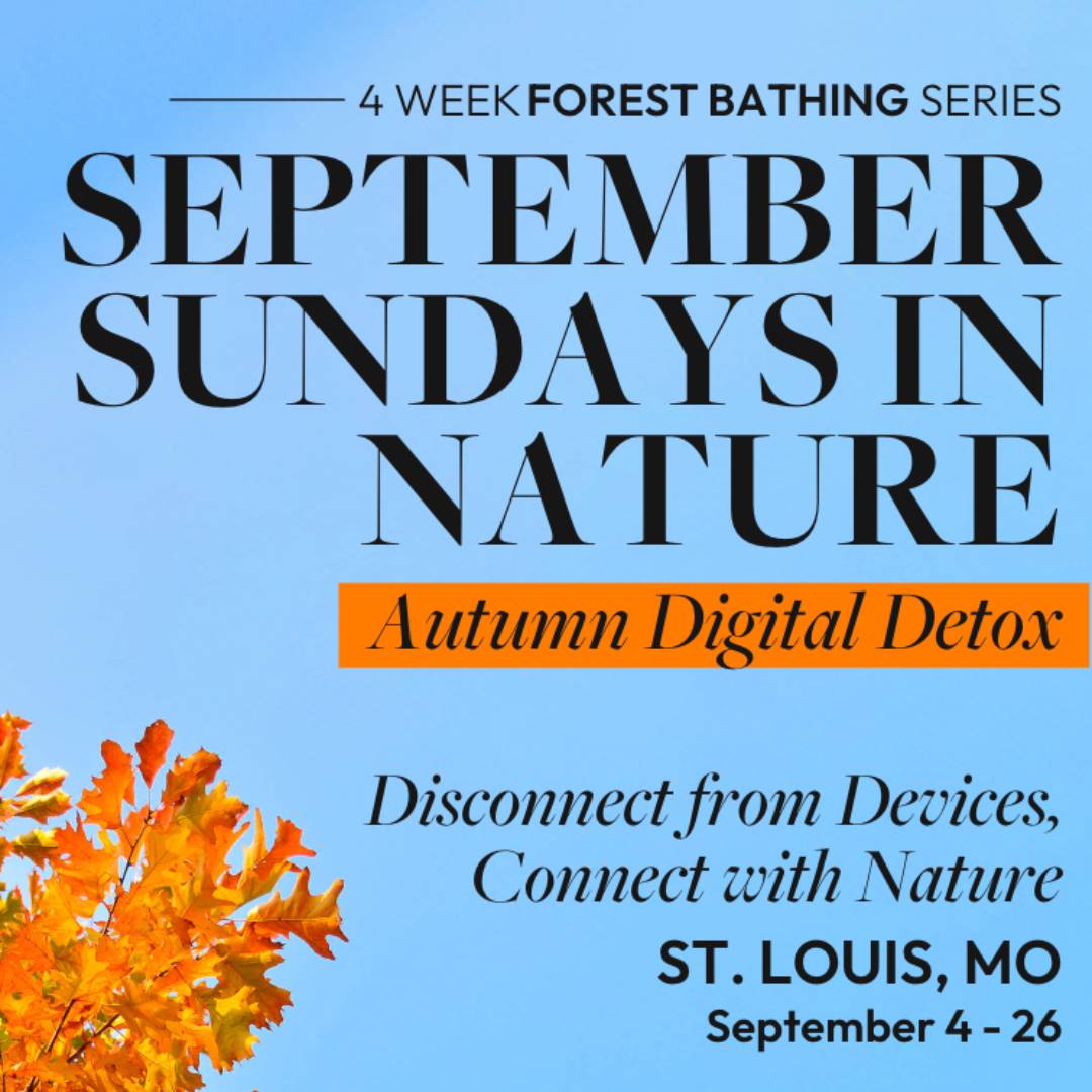 Graphic for September Sundays in Nature, a 4-week Forest Bathing and autumn digital detox series in St. Louis, Missouri, with blue sky background and orange fall leaves.