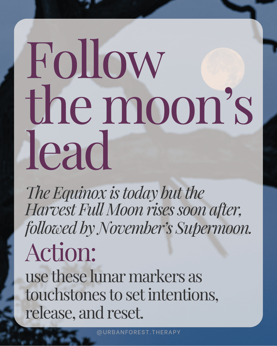 Full moon in autumn night sky with text: Follow the moon’s lead. Guidance to use Harvest Moon and November Supermoon as touchstones to set intentions, release, and reset.