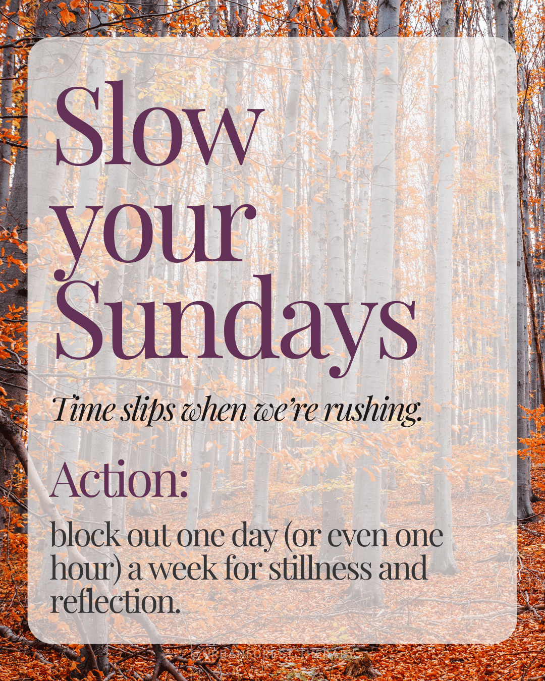 Autumn forest path with orange leaves and text: Slow your Sundays. Encouragement to block time each week for stillness and reflection as part of a seasonal reset women’s circle.