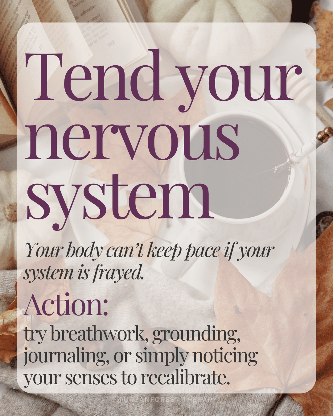 Cozy autumn scene with tea and book, text: Tend your nervous system. Encouragement to use breathwork, grounding, or sensory noticing to recalibrate. Women’s circle focus on resilience.
