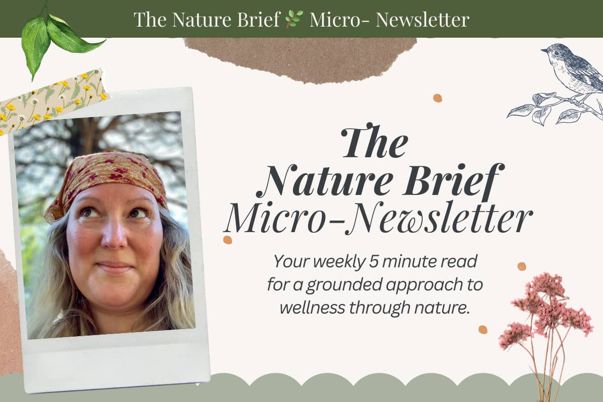 The Nature Brief