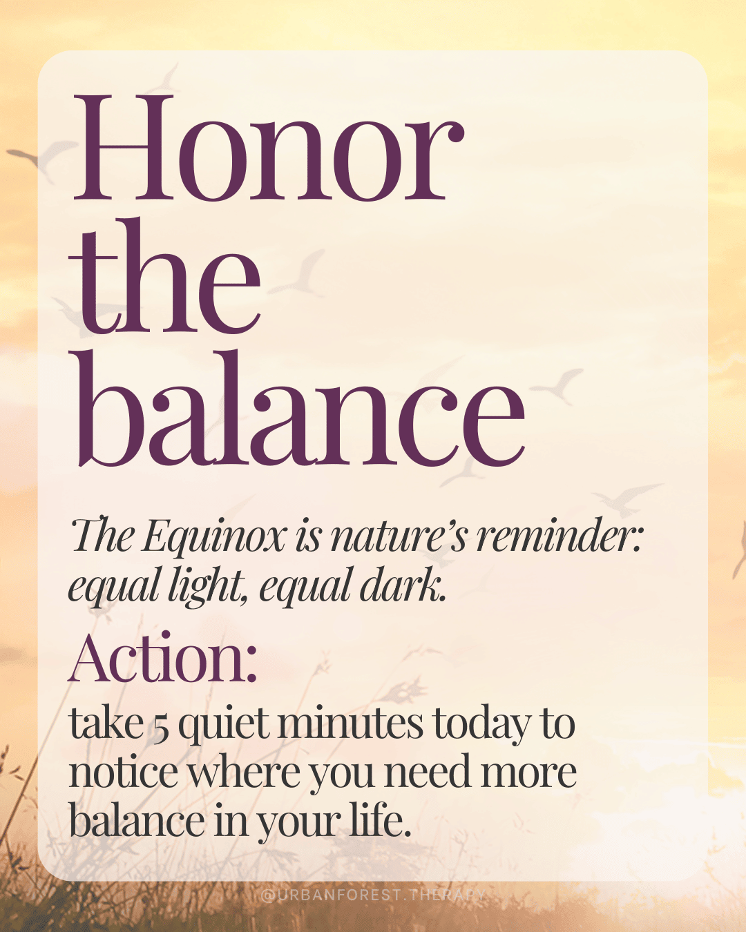Autumn Equinox reminder graphic with text: Honor the balance. The Equinox is nature’s reminder of equal light and equal dark. Women’s circle and forest bathing theme about finding balance.