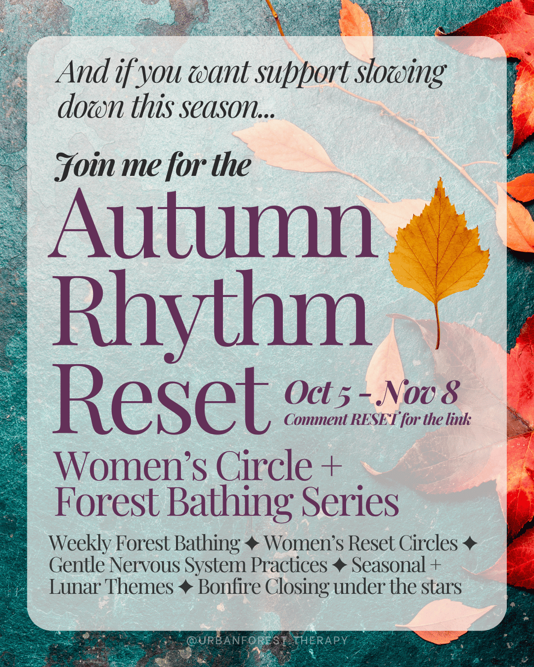 Autumn Rhythm Reset women’s circle promotional graphic. Text highlights Oct 5–Nov 8 dates with weekly forest bathing, nervous system practices, and closing bonfire under autumn sky.