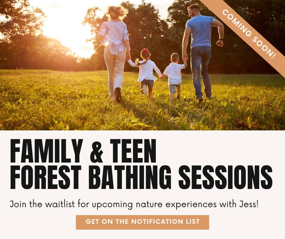 Get notified about family + Teen Forest Bathing Session