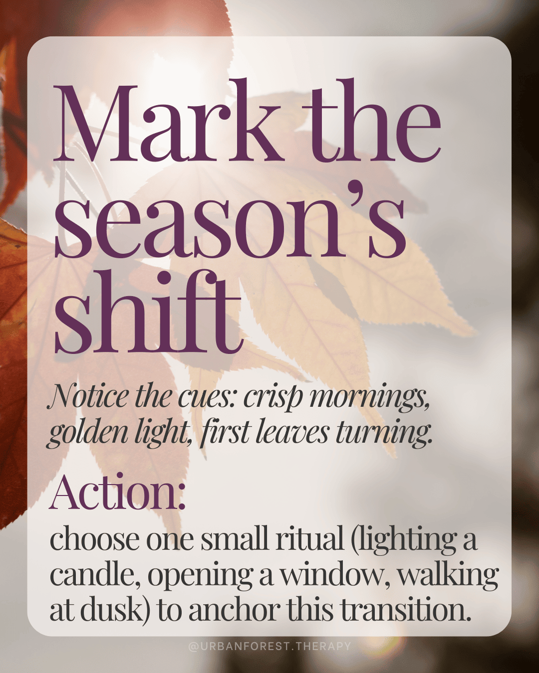 Fall forest leaves graphic with text: Mark the season’s shift. Notice cues like crisp mornings, golden light, and first leaves turning. Action invitation to anchor transitions with ritual.