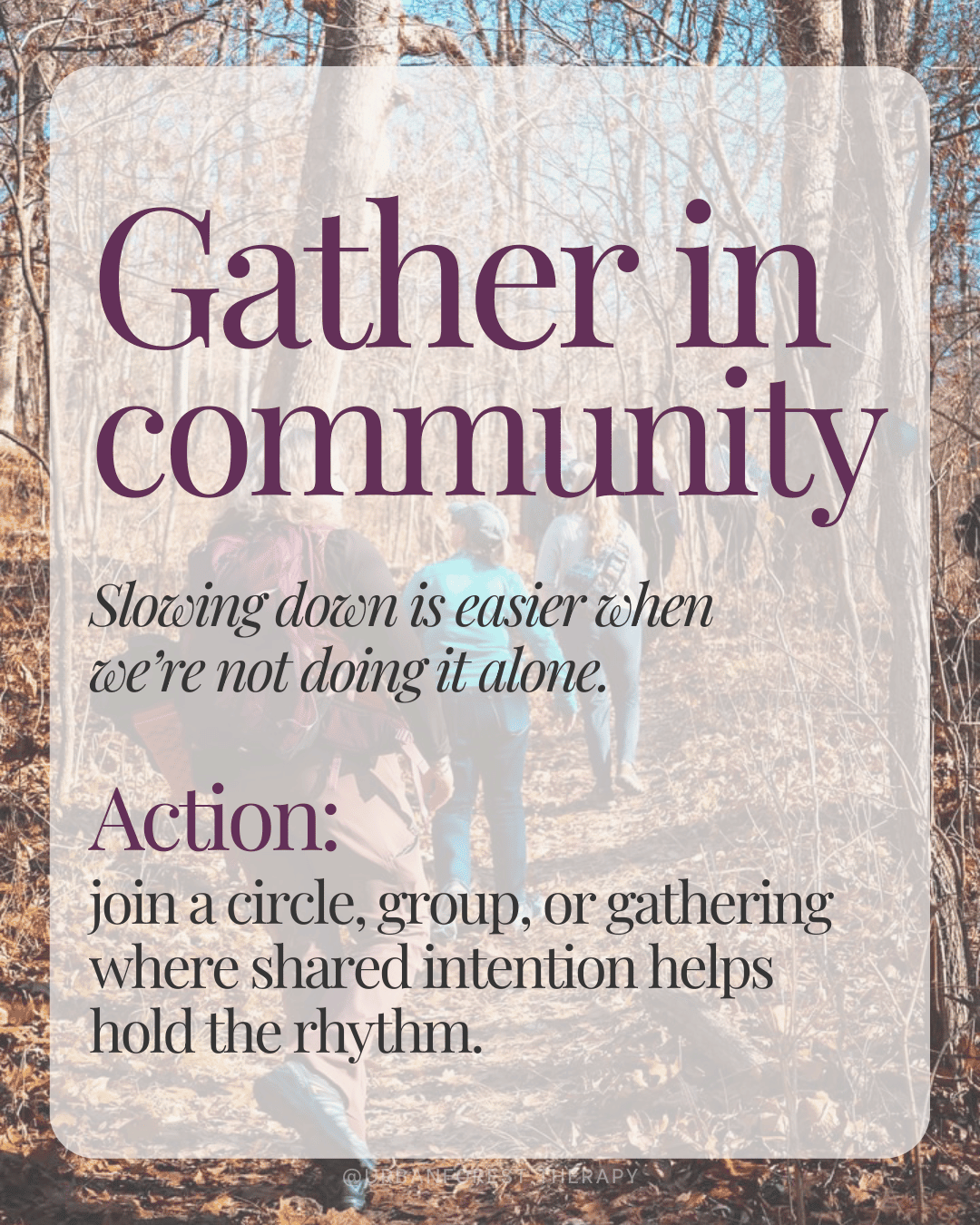Women walking together on a forest path, text: Gather in community. Invitation to join a women’s circle for shared intention, slowing down, and forest bathing connection.