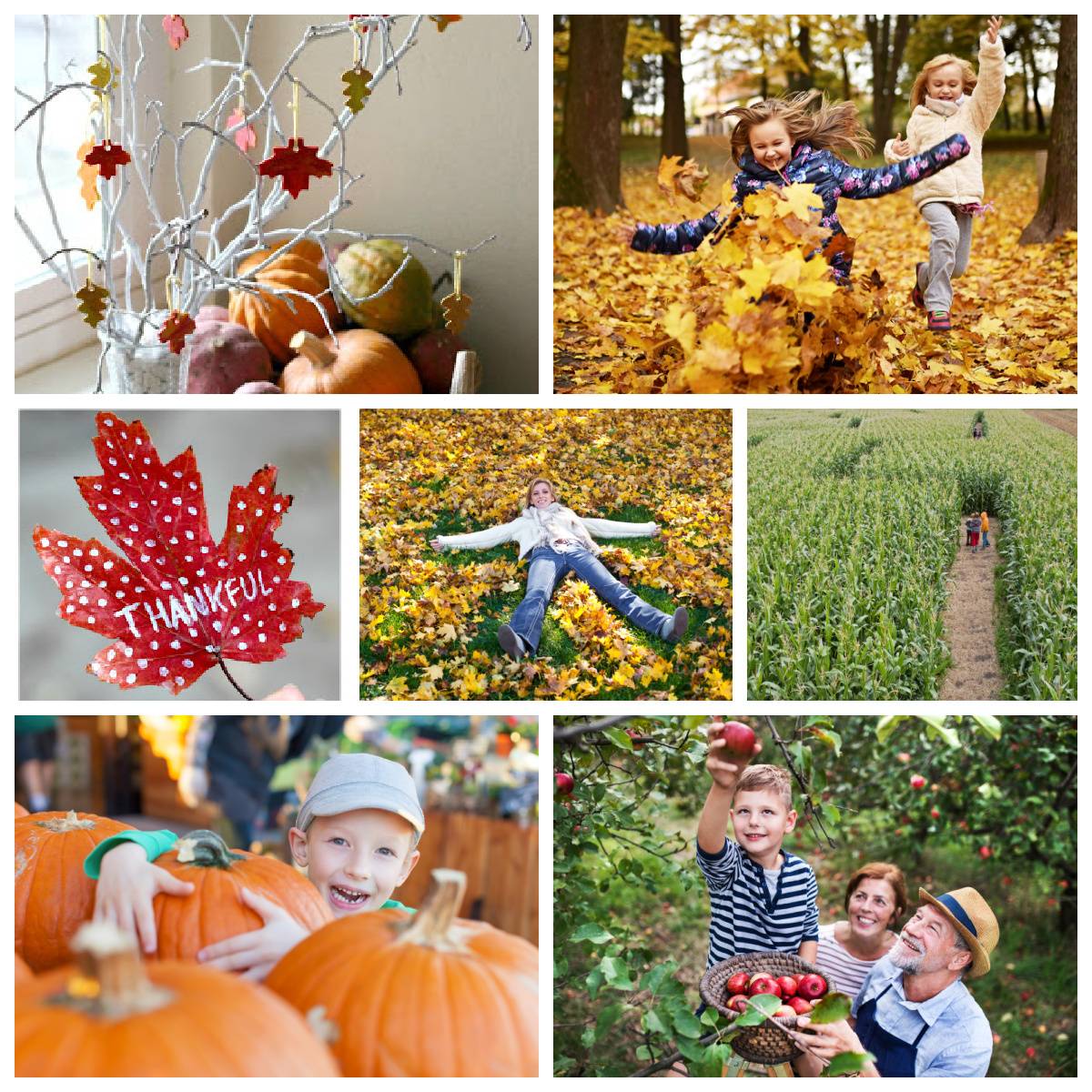 🍁Fun Fall Activities for Kids and Adults🍂