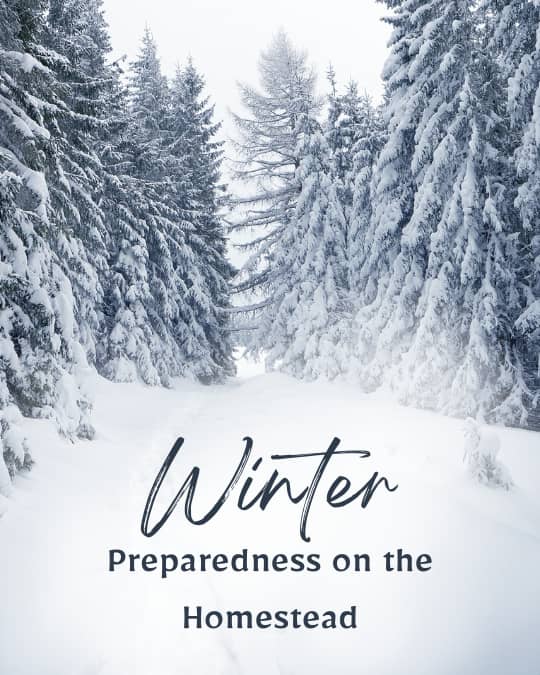 Being prepared on the homestead
