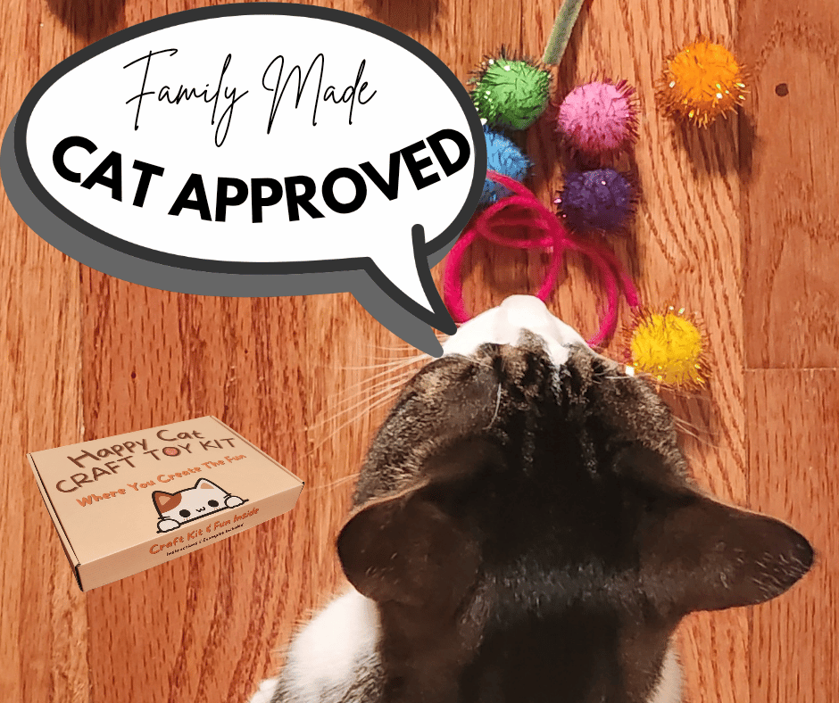 Cat toy craft kit, perfect gift