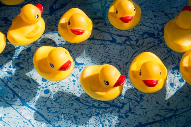 Rubber duckies floating in a tub