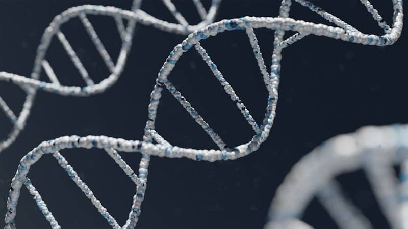 3d picture of DNA