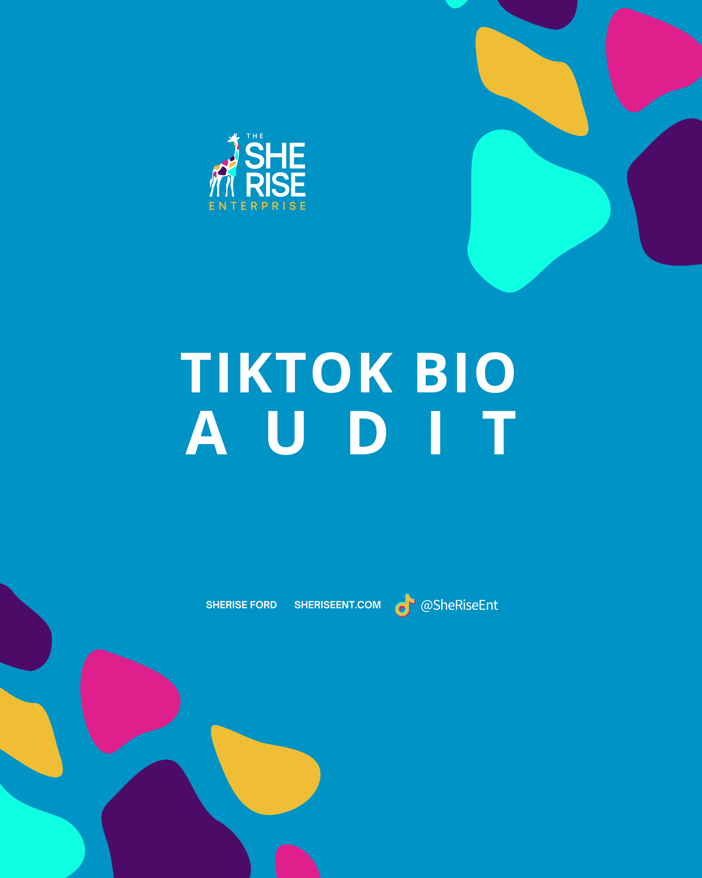 TikTok Bio Audit