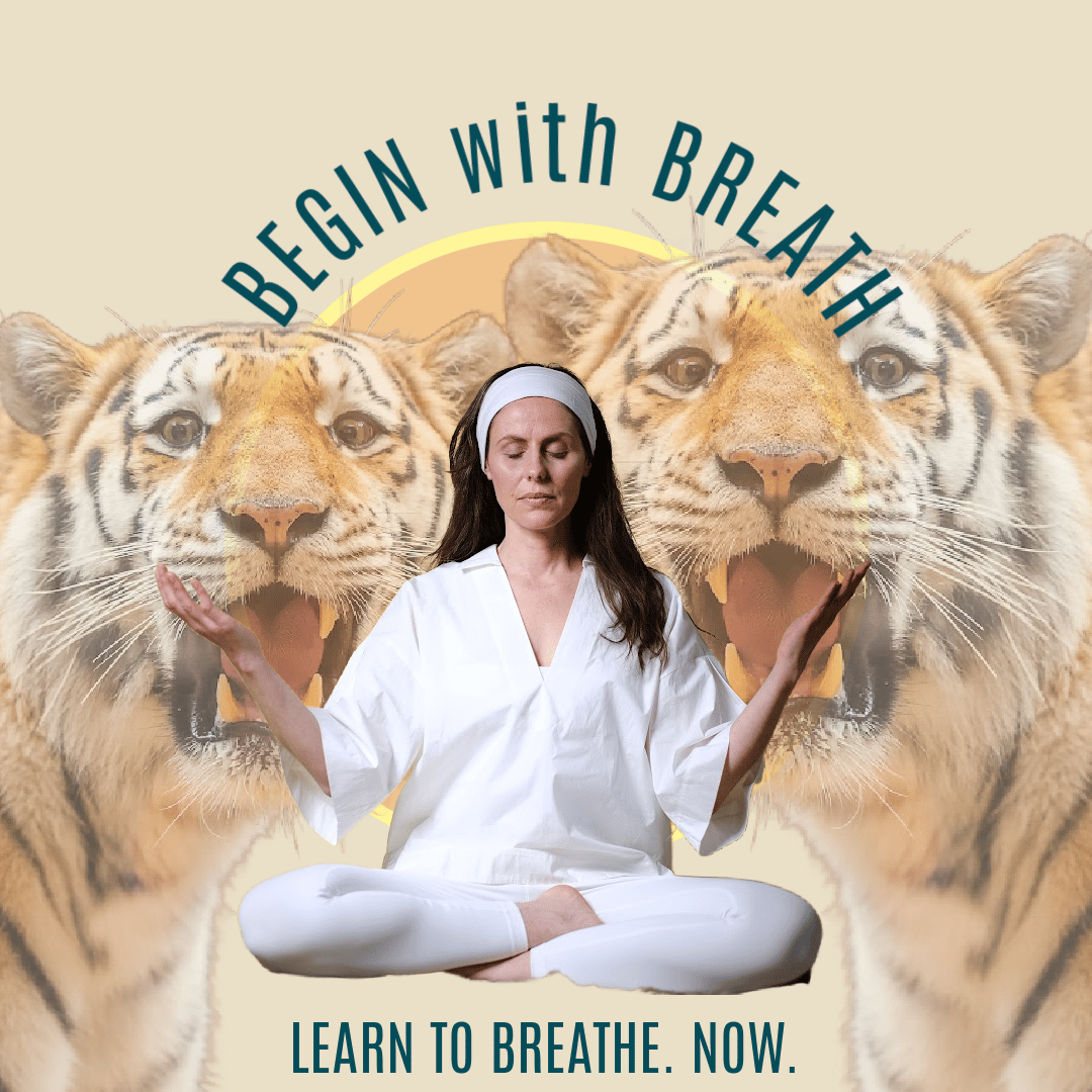 Woman taming tigers because she is meditating and breathing 