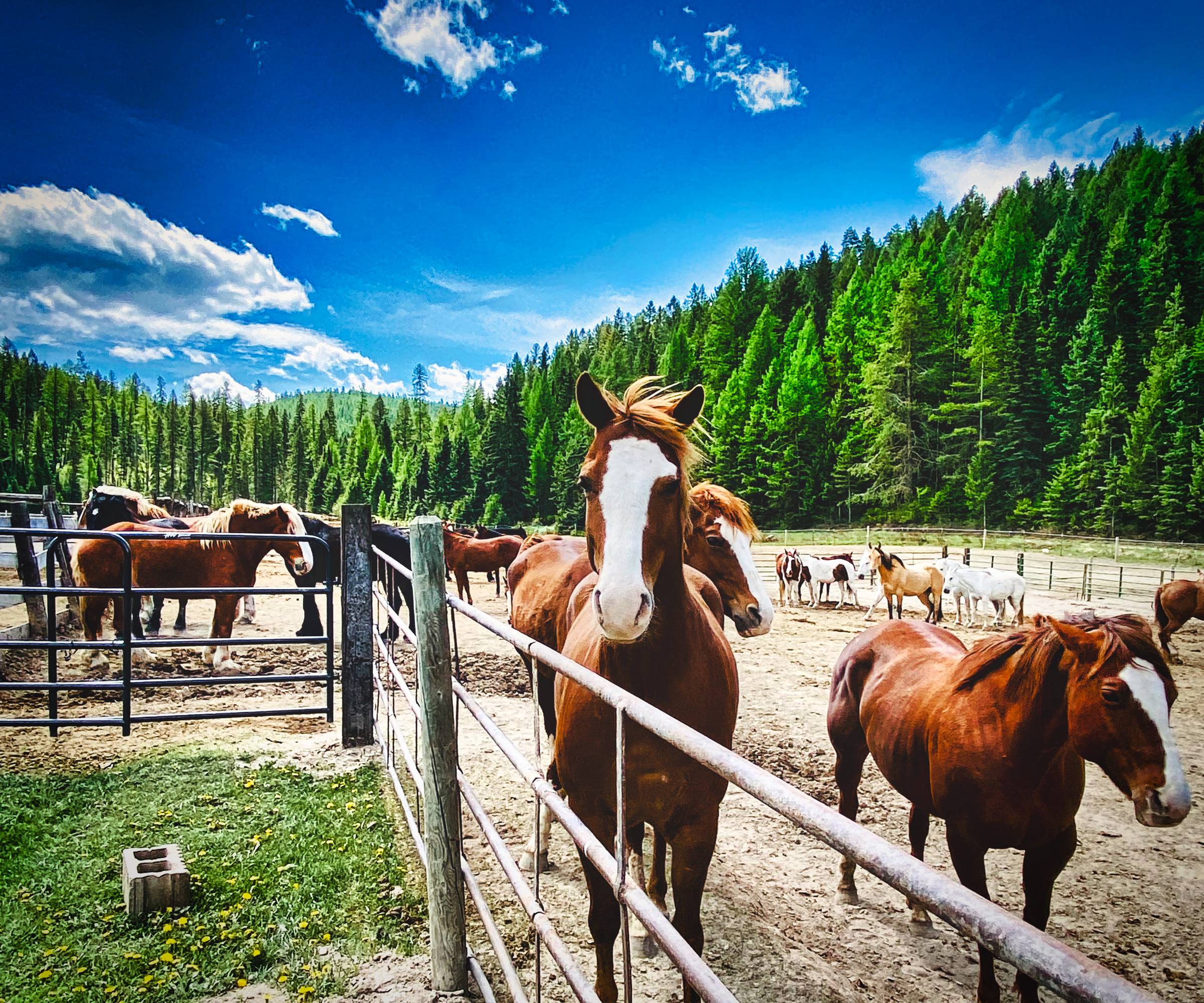 ETA Fall 2024 Newsletter