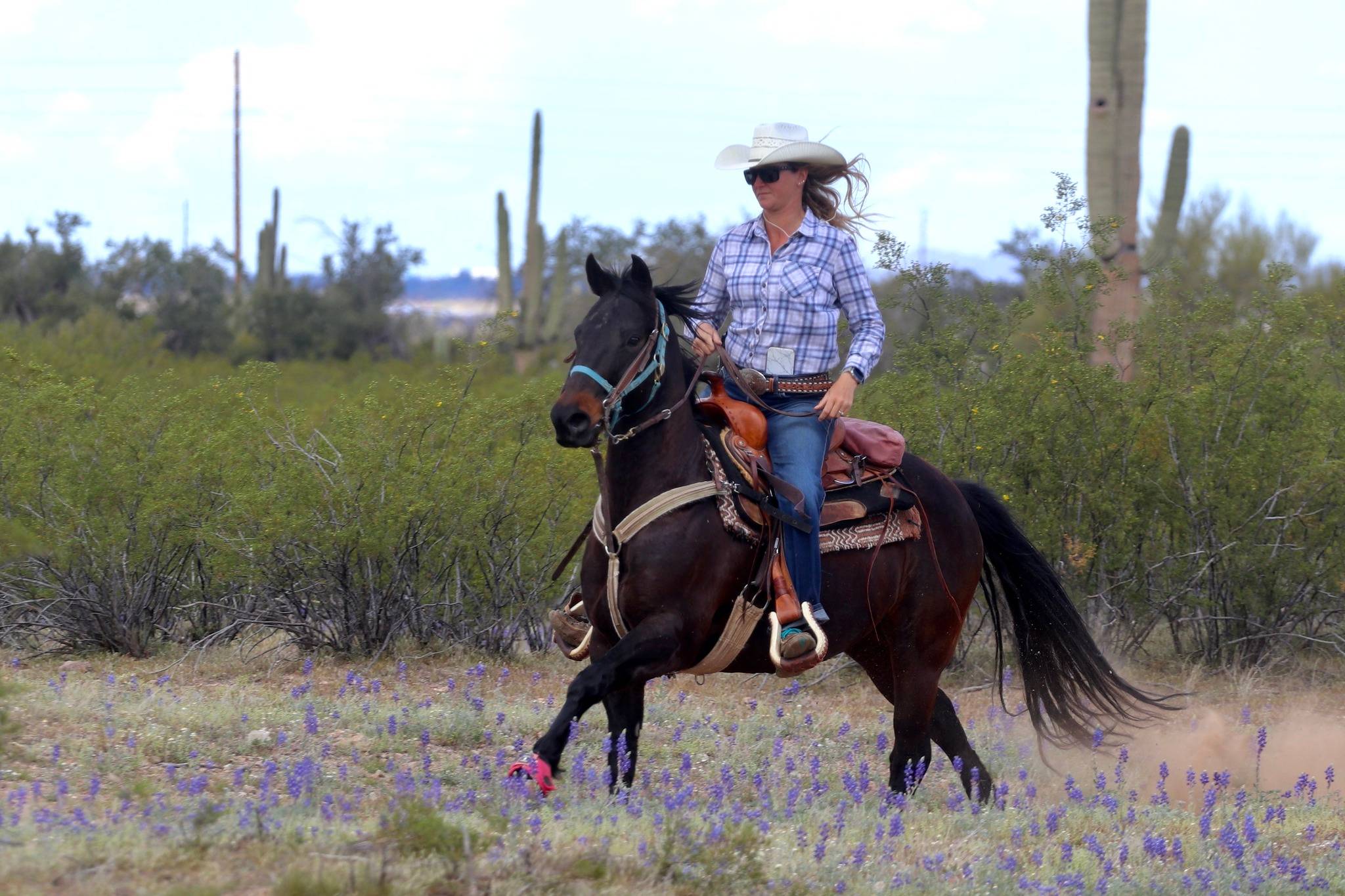 ETA January 2025 Newsletter