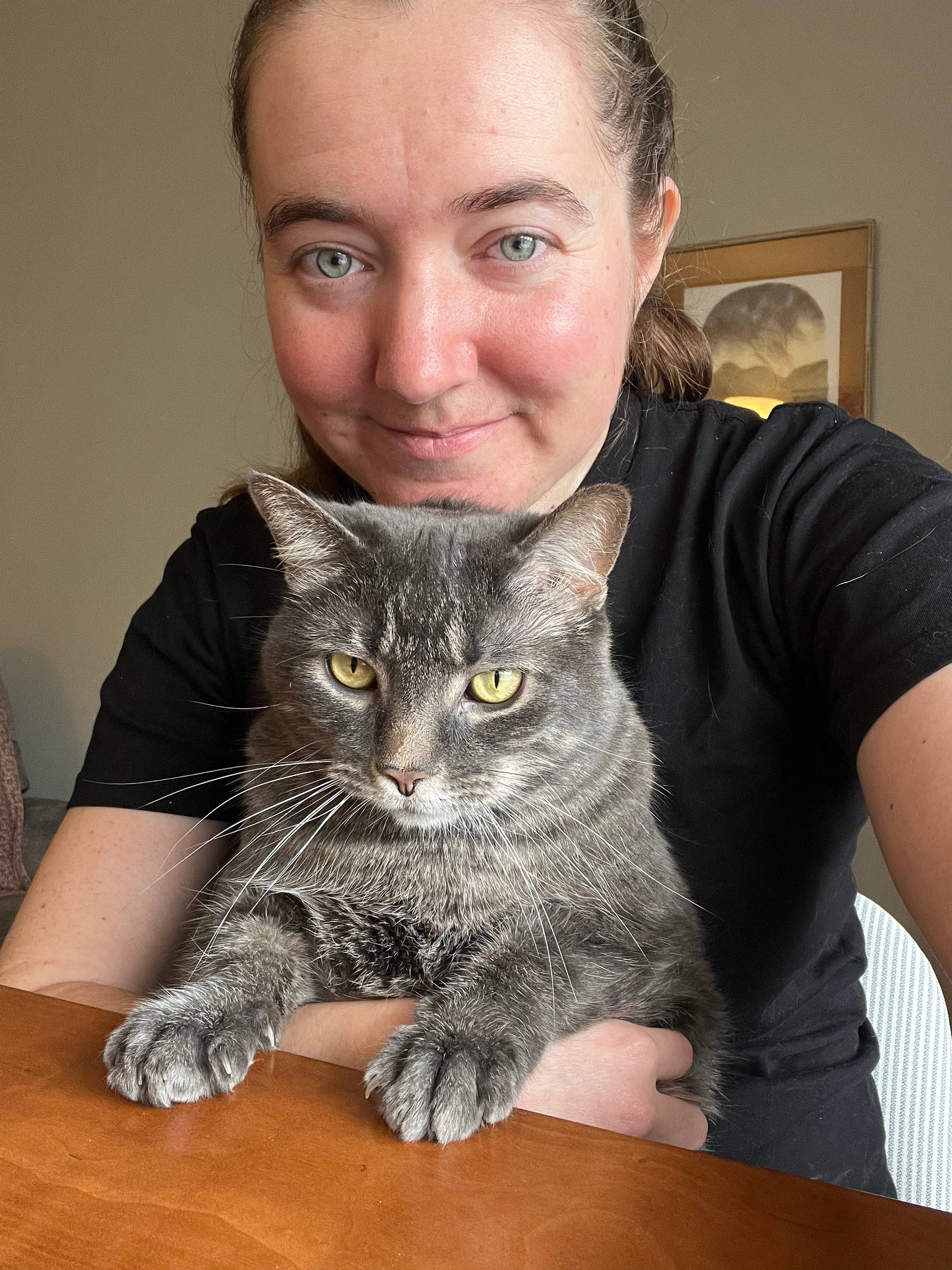 A gray cat sits at a desk with his human