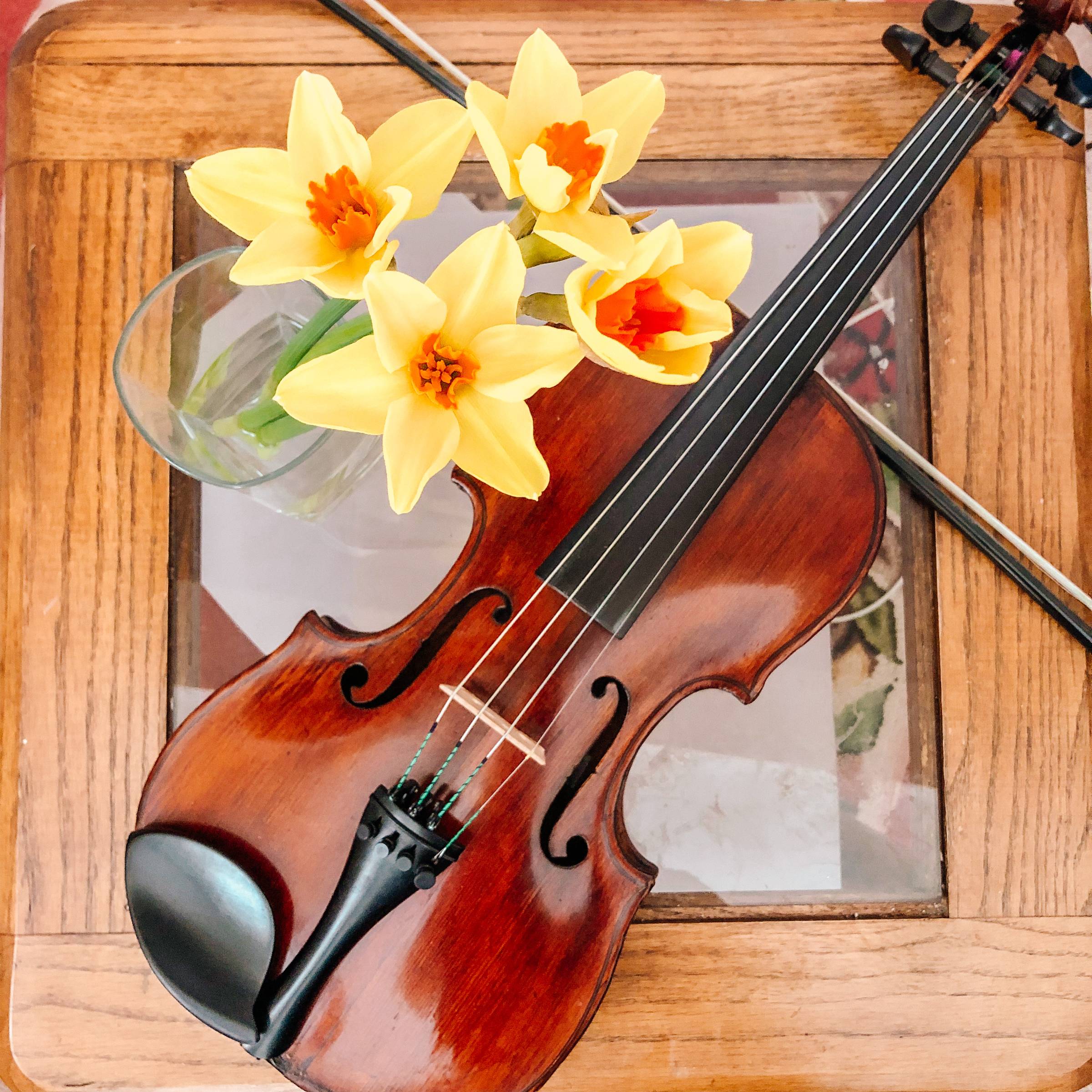 Yellow flowers and a violin on a glass coffee table
