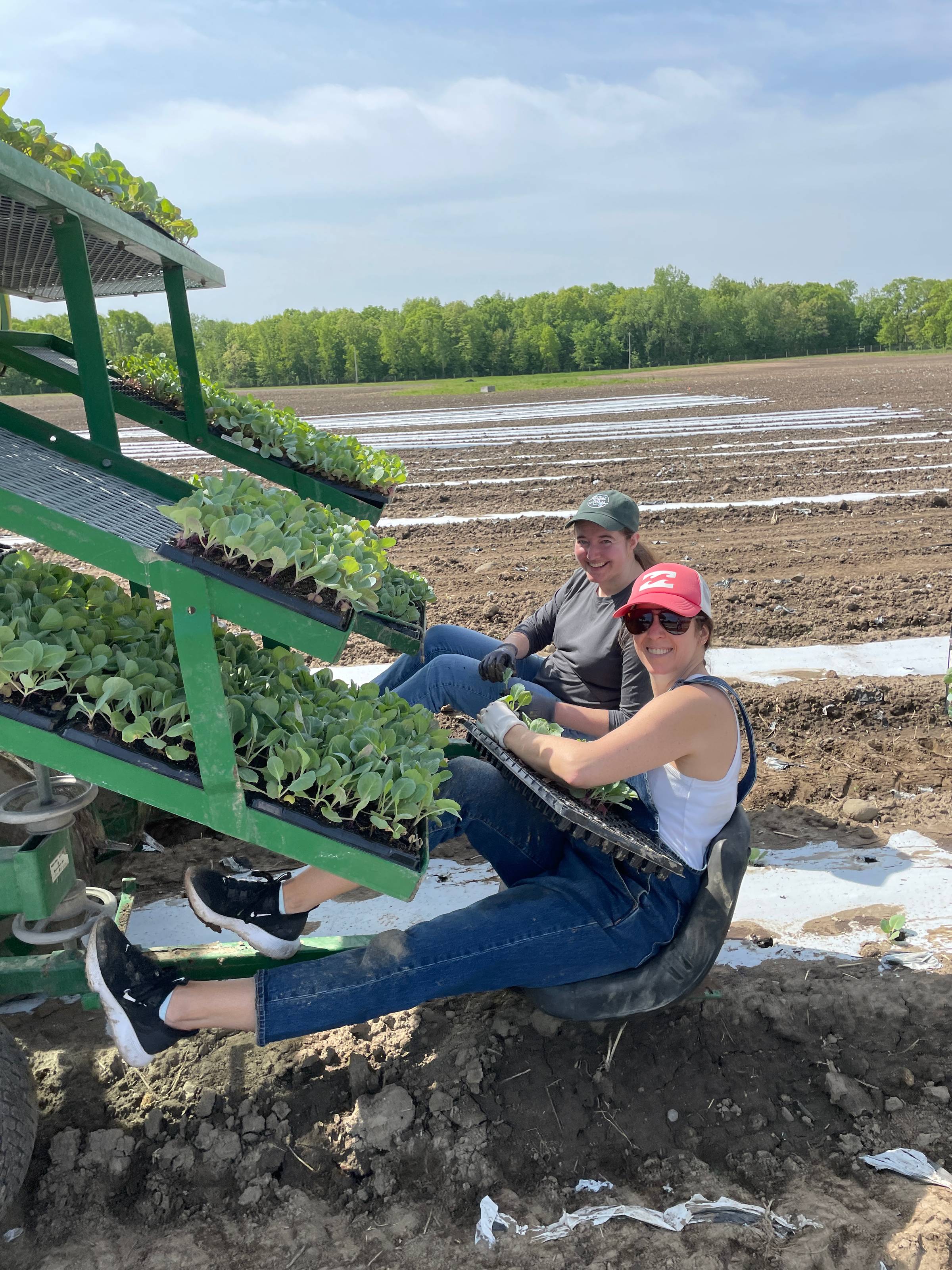 Hannah and another girl balancing on the back of a two seat planter with lots of cabbage plants