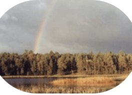 Woodland Lake in Pinetop with a rainbow over the pine trees