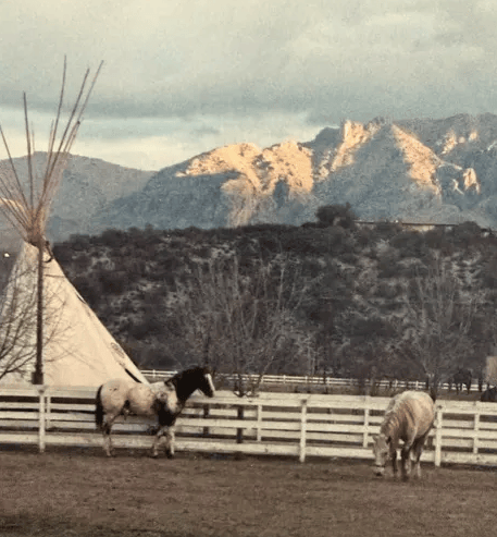 2 horses grazing, a teepee in the background and mountains in the background too
