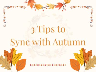 Discover 3 Way to Align with the Energy of Autumn