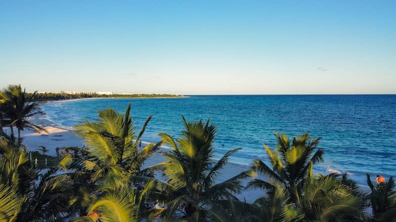 A view of a beach with palm trees in the foreground