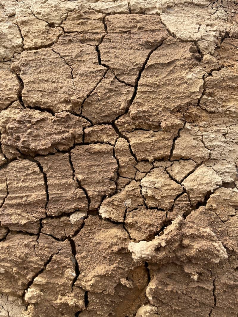Cracked, dry earth shows signs of drought.