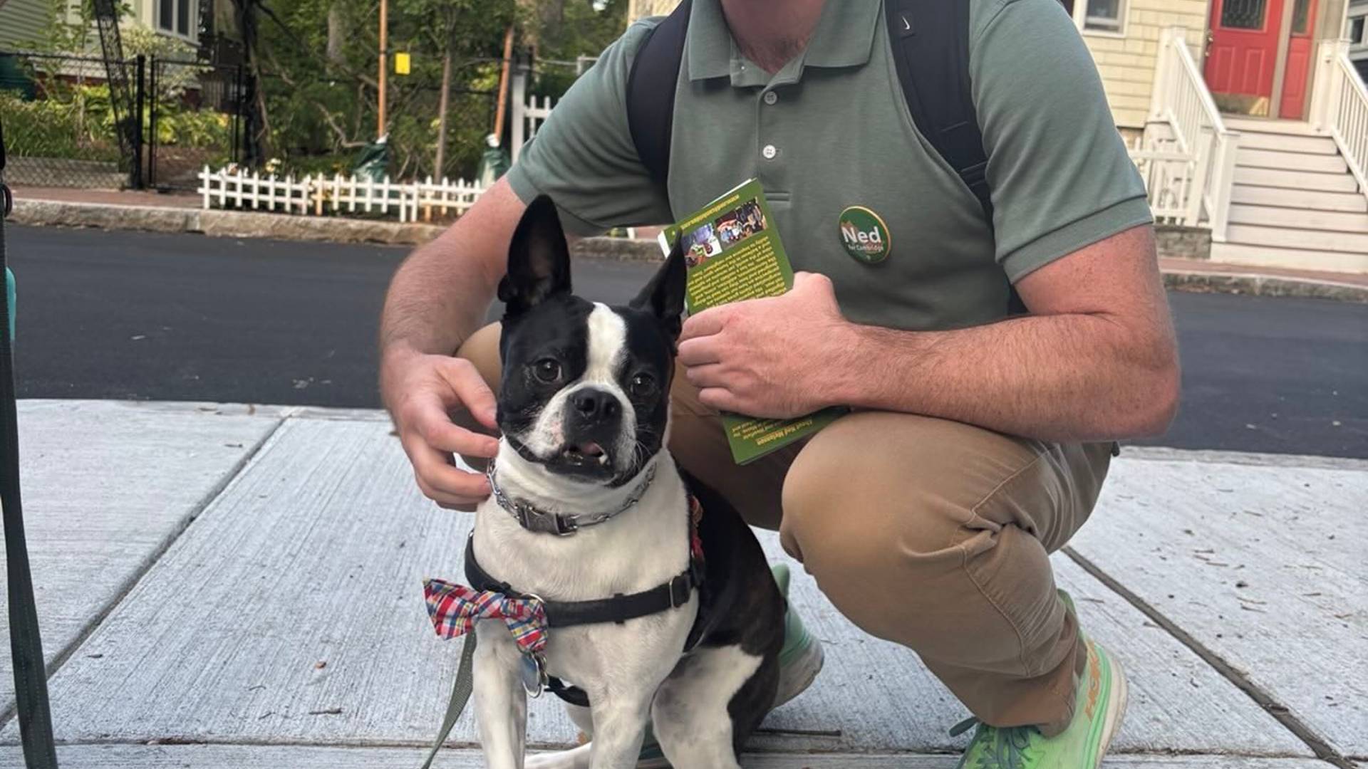a boston terrier with a bow tie posing with Ned