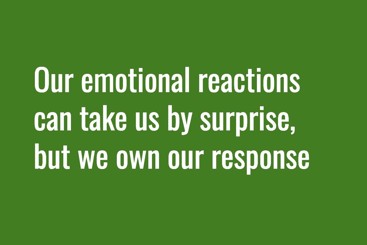 Text: Our emotional reactions can take us by surprise, but we own our response