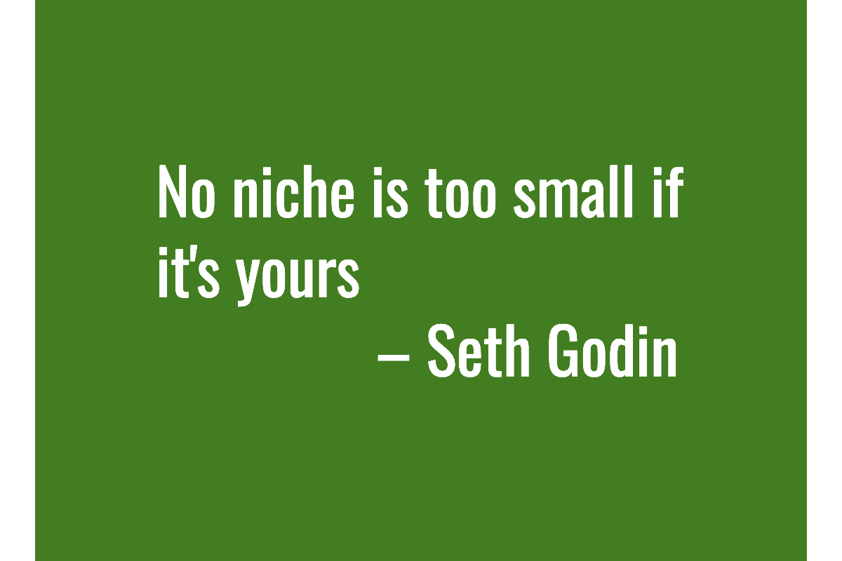 Text: No niche is too small if it's yours – Seth Godin