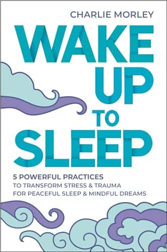 Wake Up to Sleep Book Cover