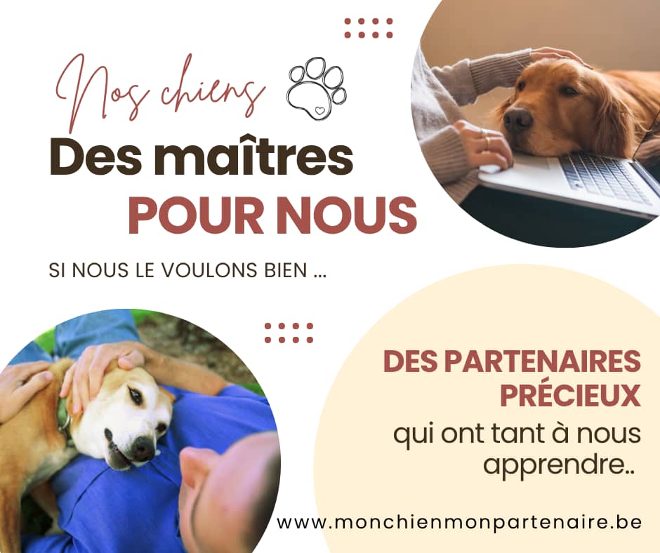 Nos relations avec nos chiens sont de magnifiques occasions d'apprendre les uns des autres... eux aussi ont beaucoup à partager avec nous!