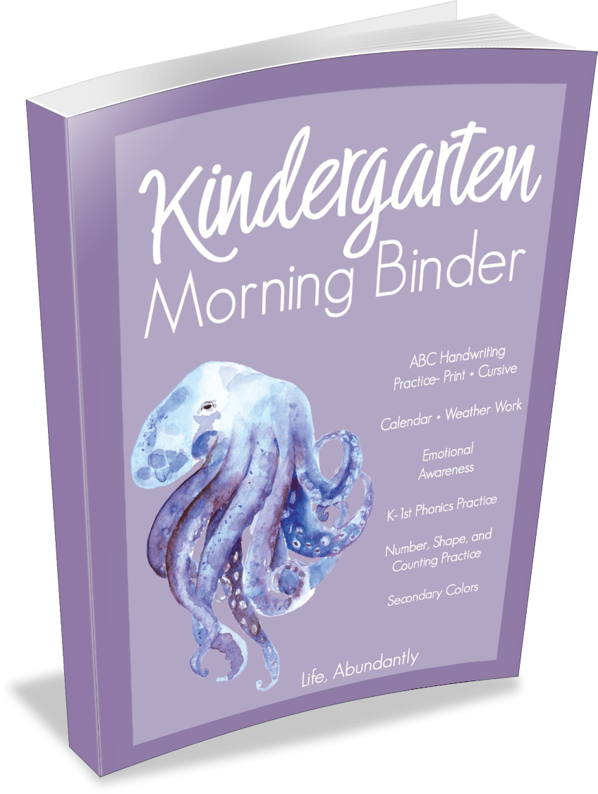 Get your FREE 25 Page Kindergarten Morning Binder Sample!