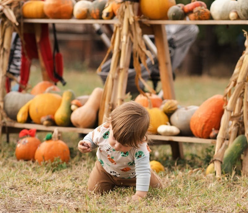 A small child sitting on the ground in front of a display of pumpkins