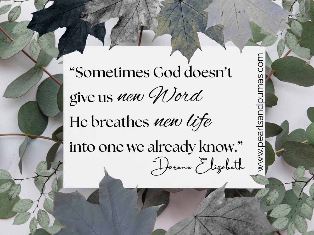 Sometimes God doesn’t give us a new Word. He breathes new life into one we already know.