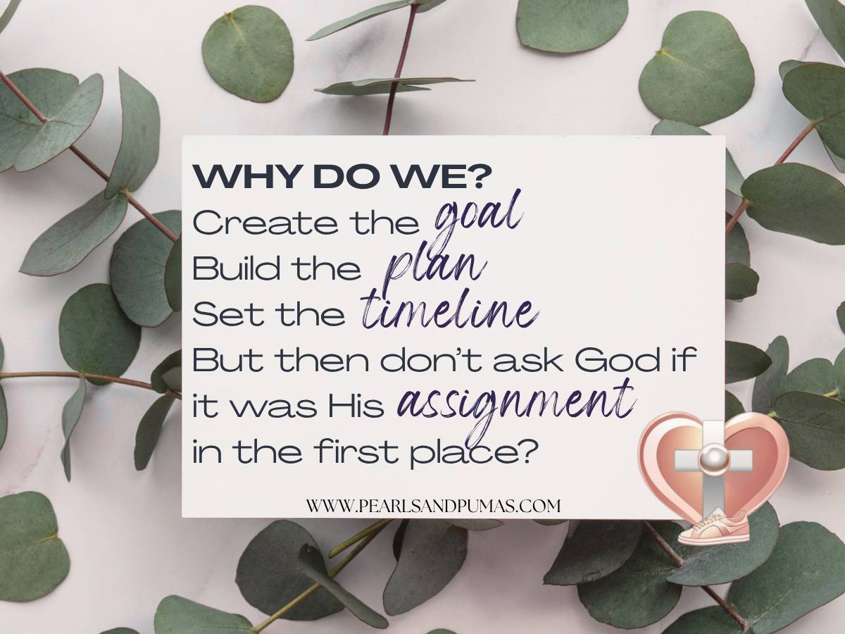 Why do we create the goal, build the plan set the timeline, but don't ask God if was His assignment in the first place? Pearls and pumas.com