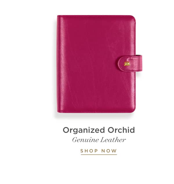 Organized Orchid.