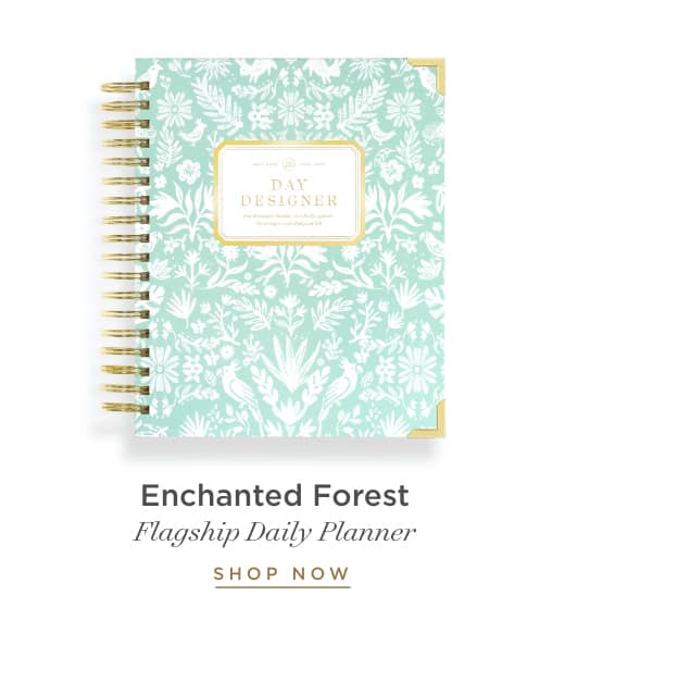 Enchanted Forest.