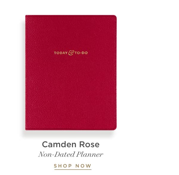 Camden Rose Today & To-Do.