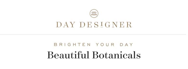 Brighten Your Day!