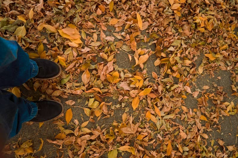 A person in blue jeans and black shoes standing on autumn leaves