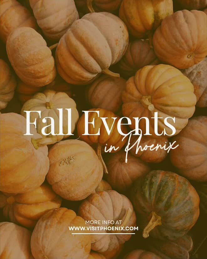 Cooler temps. Cozy nights. ALL the fall fun! 🍁
I’ve rounded up the must-do events happening around Phoenix this season — festivals, pumpkin patches, and more 🎡🎃
Tag your fall adventure buddy and start planning! 👯‍♀️
#FallInTheValley #PumpkinSeasonAZ