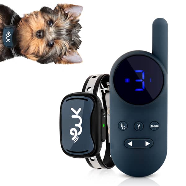 shock collar for biting puppy