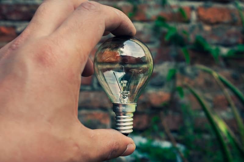 Hand holding a lightbulb against a natural background.