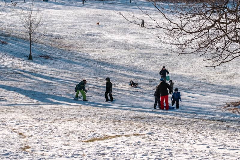 Children are sledding on a snowy hill.