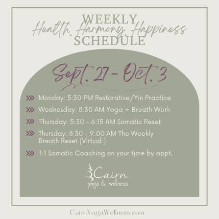Weekly Schedule (Instagram Post)